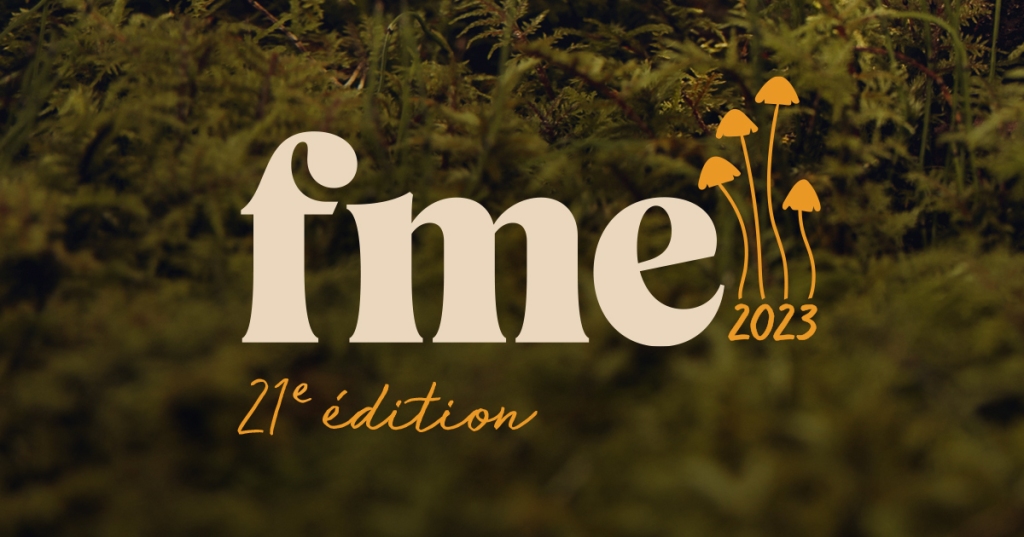 FME is everything you need in a festival and more